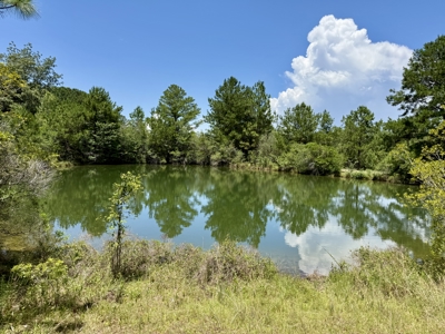 Home for sale in Geneva County on 5.50 ac with ponds Kinston, AL - image 3