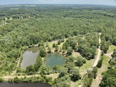 Home for sale in Geneva County on 5.50 ac with ponds Kinston, AL - image 2