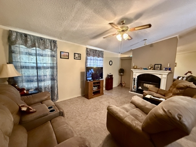 Home for sale in Geneva County on 5.50 ac with ponds Kinston, AL - image 6