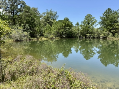 Home for sale in Geneva County on 5.50 ac with ponds Kinston, AL - image 30