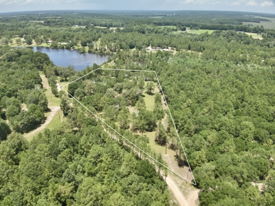 Home for sale in Geneva County on 5.50 ac with ponds Kinston, AL - image 36