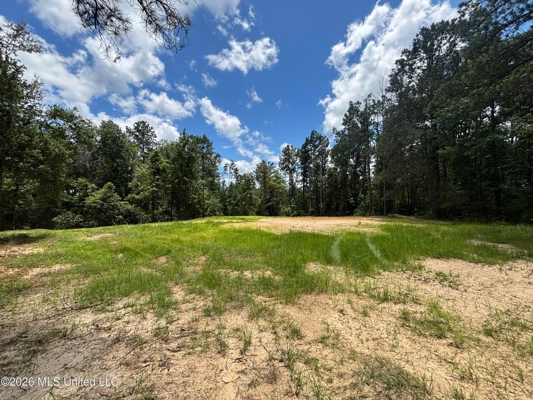 222 Acres Crosby MS Timberland | Near Louisiana
