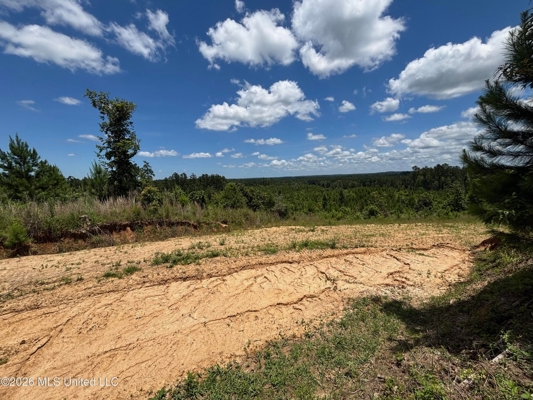 222 Acres Crosby MS Timberland | Near Louisiana