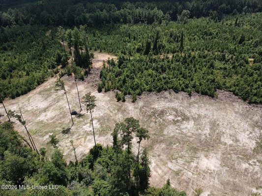 222 Acres Crosby MS Timberland | Near Louisiana