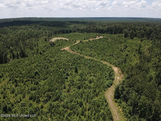 222 Acres Crosby MS Timberland | Near Louisiana