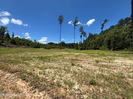 222 Acres Crosby MS Timberland | Near Louisiana