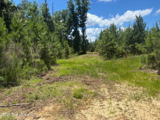 222 Acres Crosby MS Timberland | Near Louisiana