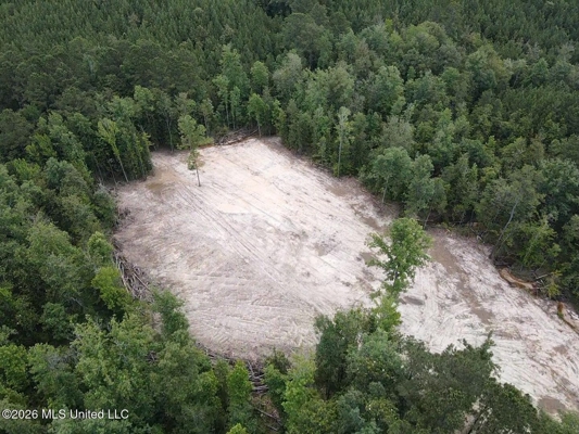 222 Acres Crosby MS Timberland | Near Louisiana