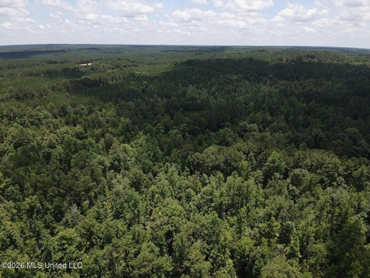 222 Acres Crosby MS Timberland | Near Louisiana