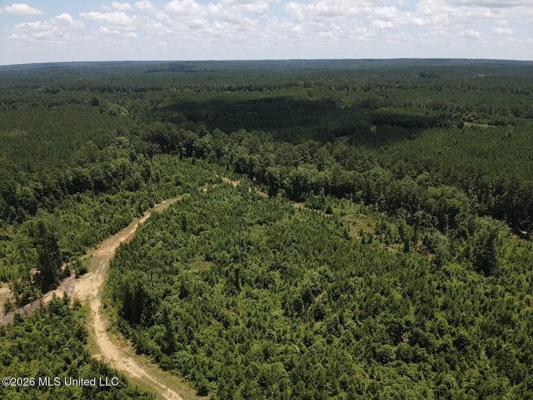 222 Acres Crosby MS Timberland | Near Louisiana