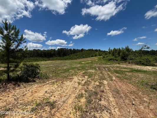 222 Acres Crosby MS Timberland | Near Louisiana