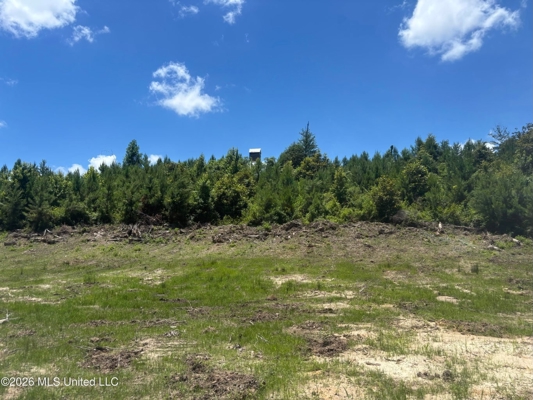 222 Acres Crosby MS Timberland | Near Louisiana