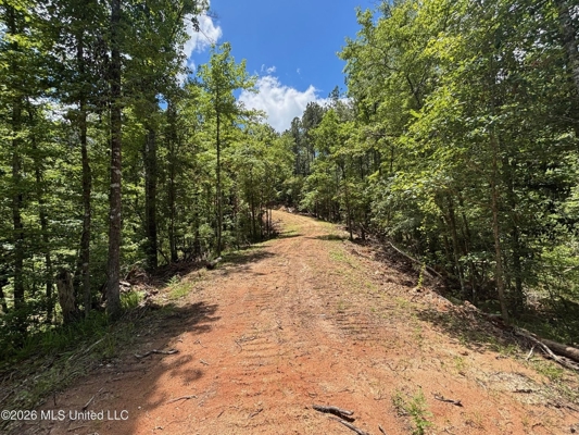 222 Acres Crosby MS Timberland | Near Louisiana