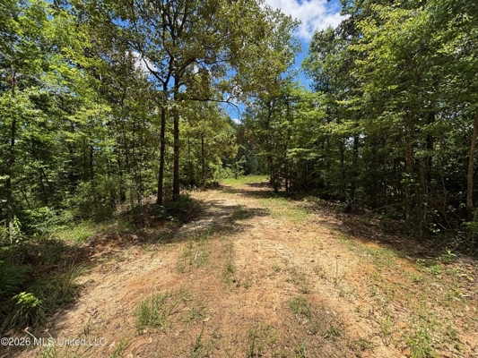 222 Acres Crosby MS Timberland | Near Louisiana