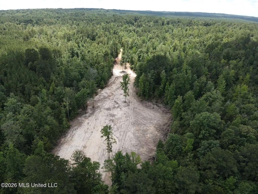 222 Acres Crosby MS Timberland | Near Louisiana