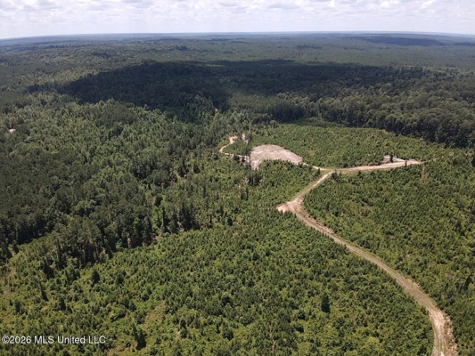 222 Acres Crosby MS Timberland | Near Louisiana