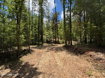 Listing 54
