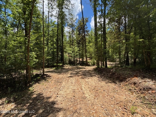 222 Acres Crosby MS Timberland | Near Louisiana
