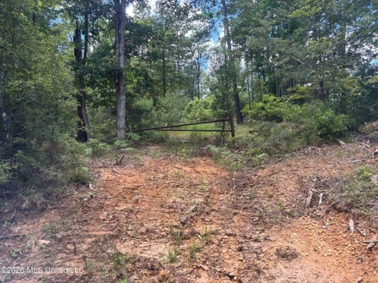 222 Acres Crosby MS Timberland | Near Louisiana