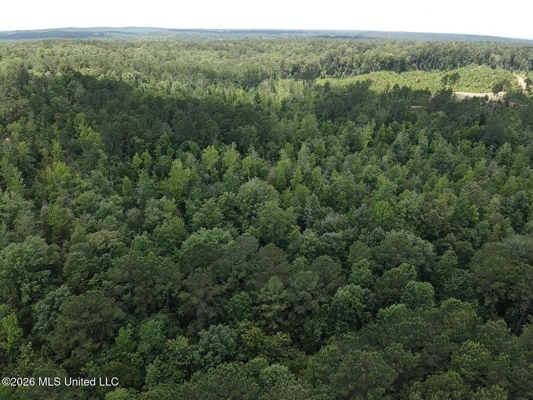 222 Acres Crosby MS Timberland | Near Louisiana