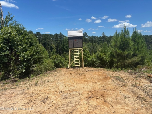 222 Acres Crosby MS Timberland | Near Louisiana