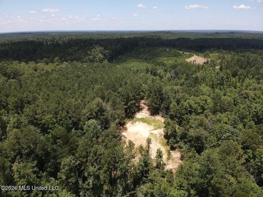 222 Acres Crosby MS Timberland | Near Louisiana