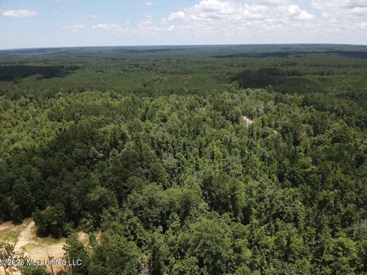 222 Acres Crosby MS Timberland | Near Louisiana