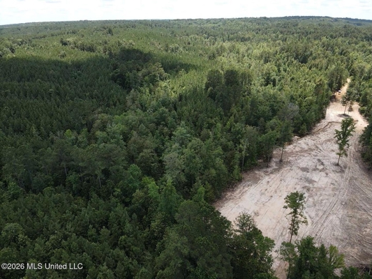 222 Acres Crosby MS Timberland | Near Louisiana
