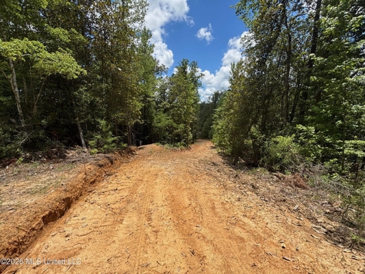 222 Acres Crosby MS Timberland | Near Louisiana