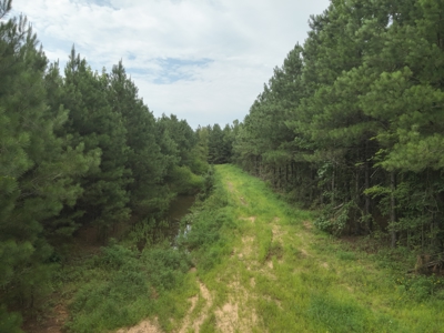 Diverse Pine Timberland W/ Hwy for Sale in Lafayette Co., AR - image 16