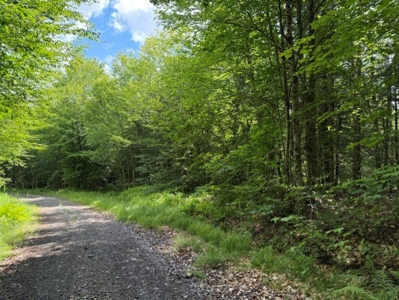 25 Acres and Off-Grid Cabin For Sale In Little Falls, NY - image 15