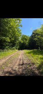 25 Acres and Off-Grid Cabin For Sale In Little Falls, NY - image 8