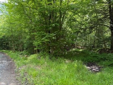 25 Acres and Off-Grid Cabin For Sale In Little Falls, NY - image 13