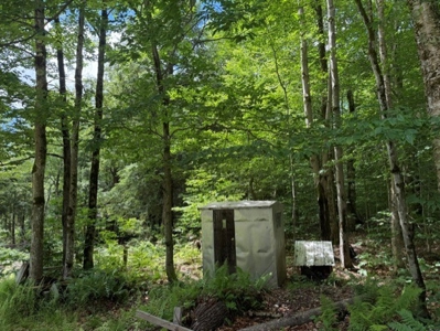 25 Acres and Off-Grid Cabin For Sale In Little Falls, NY - image 11