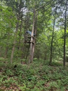 25 Acres and Off-Grid Cabin For Sale In Little Falls, NY - image 12