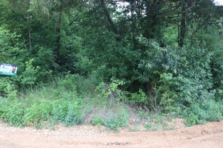 Investors Take a LOOK! Investment Lot in the Ozark Mountains - image 4