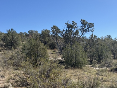 3 Off Grid Acres in Bridge Canyon Just over 5400 ft Elevation - image 16