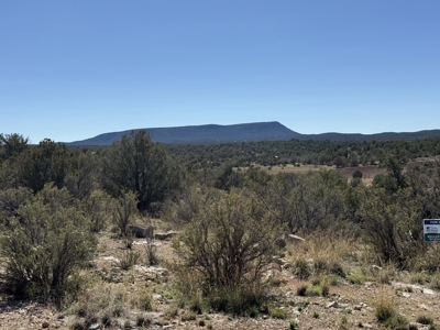 3 Off Grid Acres in Bridge Canyon Just over 5400 ft Elevation - image 25