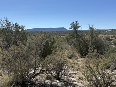 3 Off Grid Acres in Bridge Canyon Just over 5400 ft Elevation - image 3