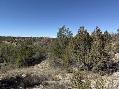 3 Off Grid Acres in Bridge Canyon Just over 5400 ft Elevation - image 9