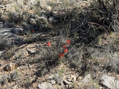 3 Off Grid Acres in Bridge Canyon Just over 5400 ft Elevation - image 19