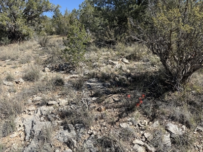 3 Off Grid Acres in Bridge Canyon Just over 5400 ft Elevation - image 20