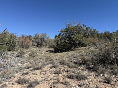 3 Off Grid Acres in Bridge Canyon Just over 5400 ft Elevation - image 18