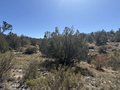 3 Off Grid Acres in Bridge Canyon Just over 5400 ft Elevation - image 14