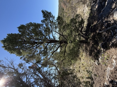 3 Off Grid Acres in Bridge Canyon Just over 5400 ft Elevation - image 8