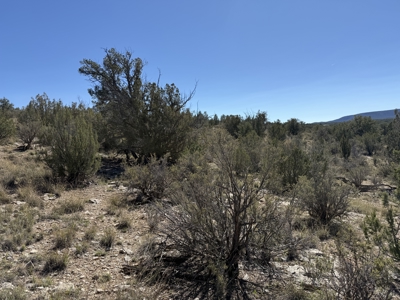 3 Off Grid Acres in Bridge Canyon Just over 5400 ft Elevation - image 5