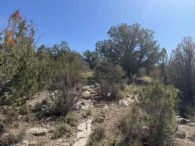 3 Off Grid Acres in Bridge Canyon Just over 5400 ft Elevation - image 13