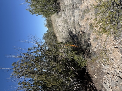 3 Off Grid Acres in Bridge Canyon Just over 5400 ft Elevation - image 17