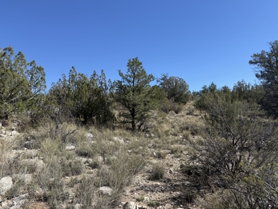 3 Off Grid Acres in Bridge Canyon Just over 5400 ft Elevation - image 7
