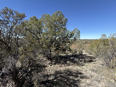 3 Off Grid Acres in Bridge Canyon Just over 5400 ft Elevation - image 10